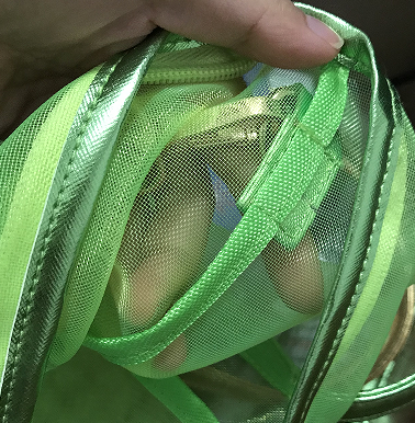 Neon Green Mesh Handbag