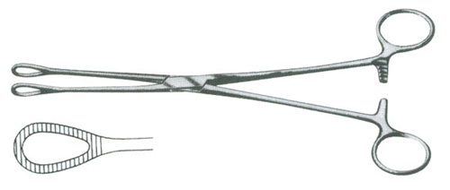 Leech Forceps for Handling