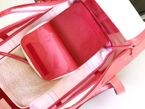 Red Mesh Pet Carrier Bag