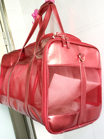 Red Mesh Pet Carrier Bag