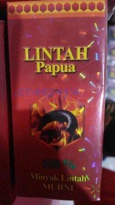 LEECH Minyak Lintah Papua